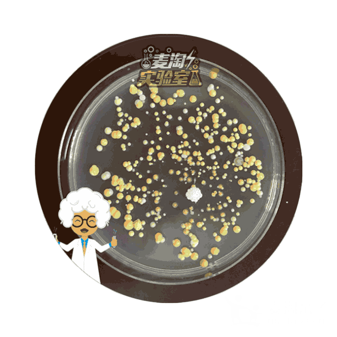 麦淘的神奇宝盒,可以让小朋友不用显微镜,就能让手指上隐身着的细菌"