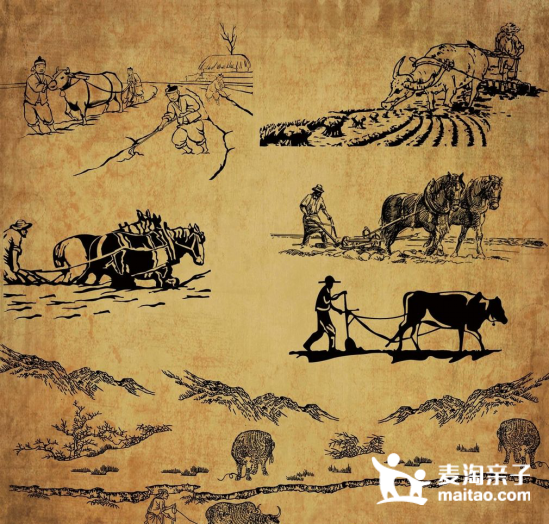 中国最早农业文明起源主要是河姆渡文明及黄河流域仰韶文明,人们在